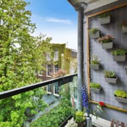 Cum să amenajezi o grădină verticală în balconul tău
