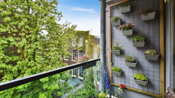 Cum să amenajezi o grădină verticală în balconul tău