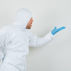 Deratizarea în bucătării comerciale